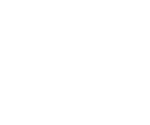 Aidapt-Logo-White