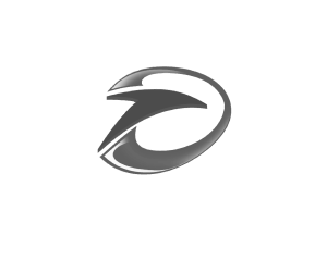 Diverse-Trainers-Logo-White